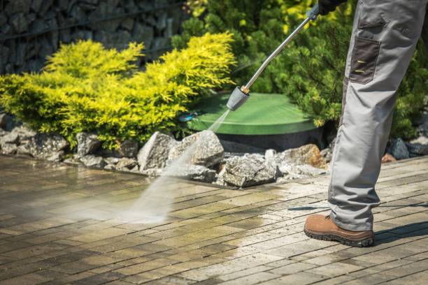 Best Fence Cleaning  in Umatilla, FL