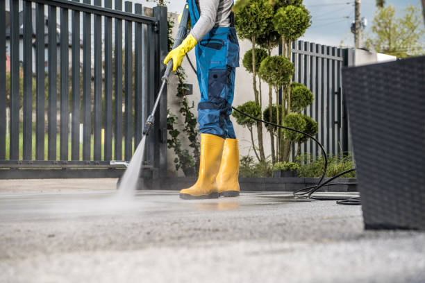 Best Sidewalk and Walkway Cleaning  in Umatilla, FL